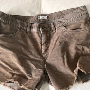 Carve Designs Brown Corduroy Cutoff Shorts